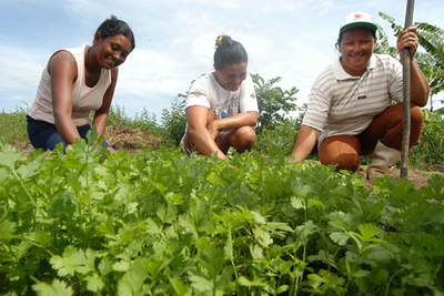 A Agricultura De Subsist Ncia No Brasil